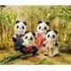 Famille Wilder Panda de Calico Critters, ensemble de 4 poupées figurines à collectionner – image 2 sur 5