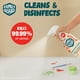 Family Guard nettoyant désinfectant, Tue 99,99 % des germes, Parfum d'agrumes 946 mL – image 4 sur 9