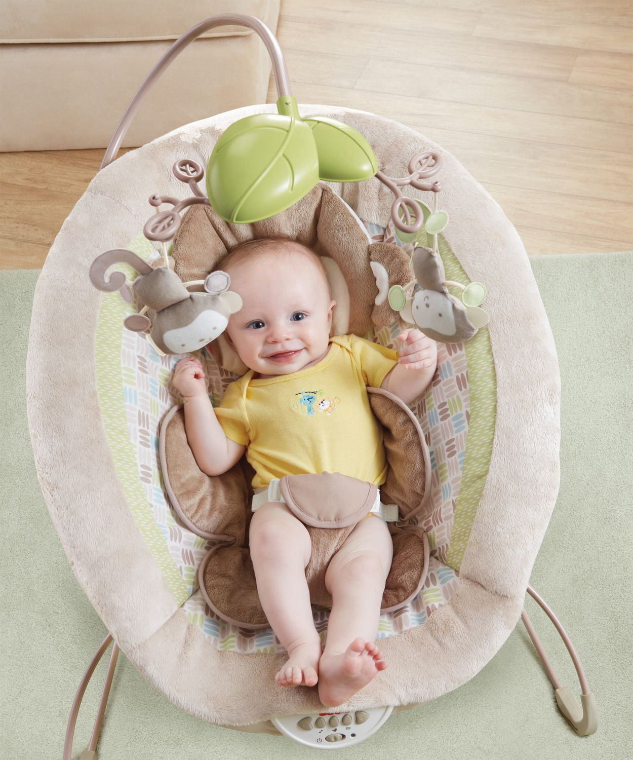 fisher price snugamonkey bouncer