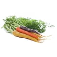 thumbnail image 4 of Carrots, Rainbow Organic, 2 lb, 4 of 8