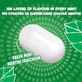 thumbnail image 2 of TIC TAC Menthes, Menthe fraîche, Bonbons à la menthe, 200 pilules, 98 g, 2 of 9
