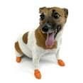 thumbnail image 2 of Protex PawZ Pawz Dog Boots (large), 2 of 7