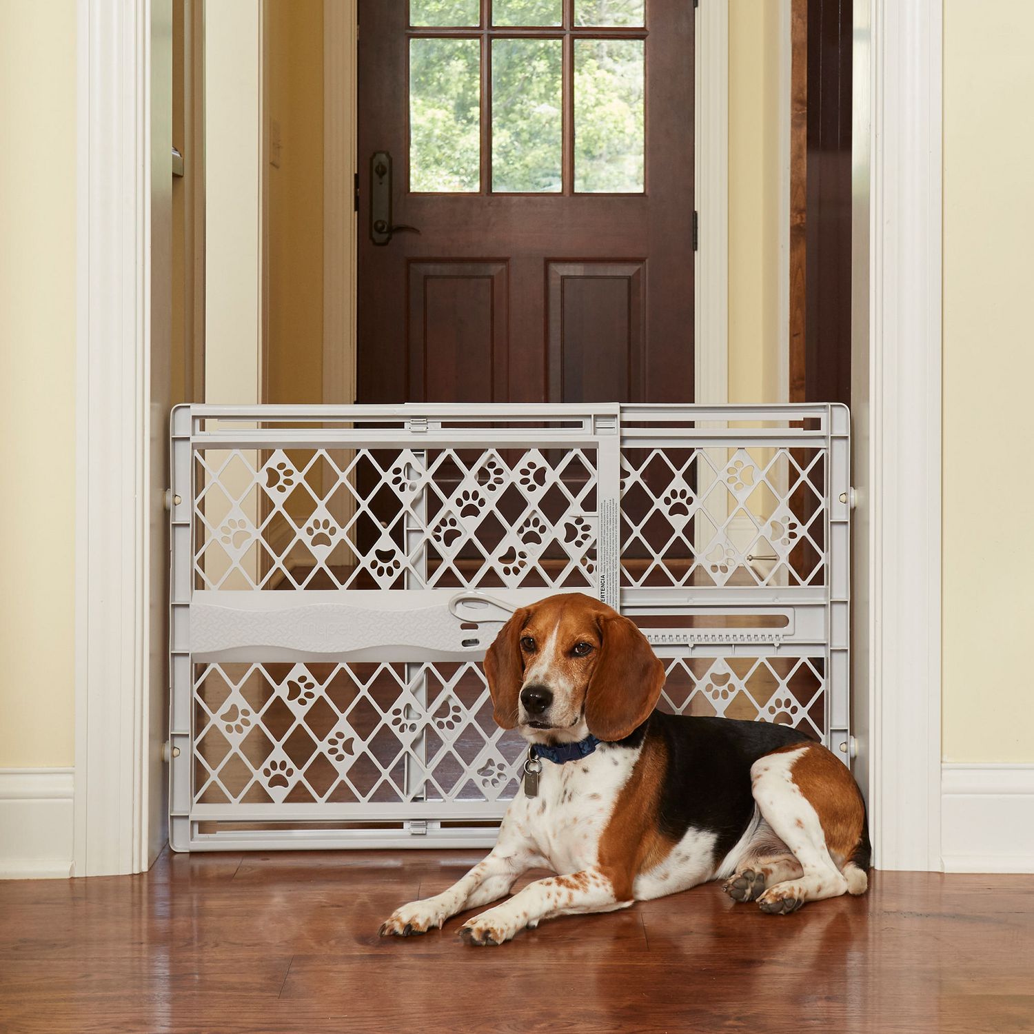 Mypet windsor arch pet gate for dogs & cats sale