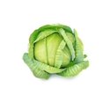 thumbnail image 1 of Cabbage, Flat, 1 of 1