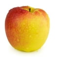 thumbnail image 1 of Pomme Ambrosia, Vendues individuellement, 0.13 - 0.18 KG, 1 of 1