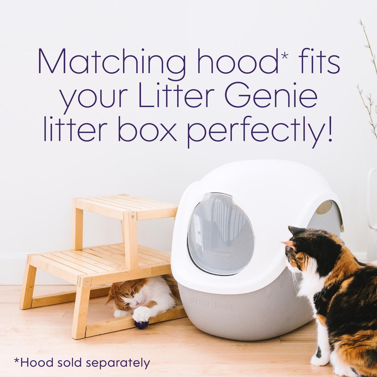 Litter Genie Litterbox Comfortable for your cat easy clean up for you