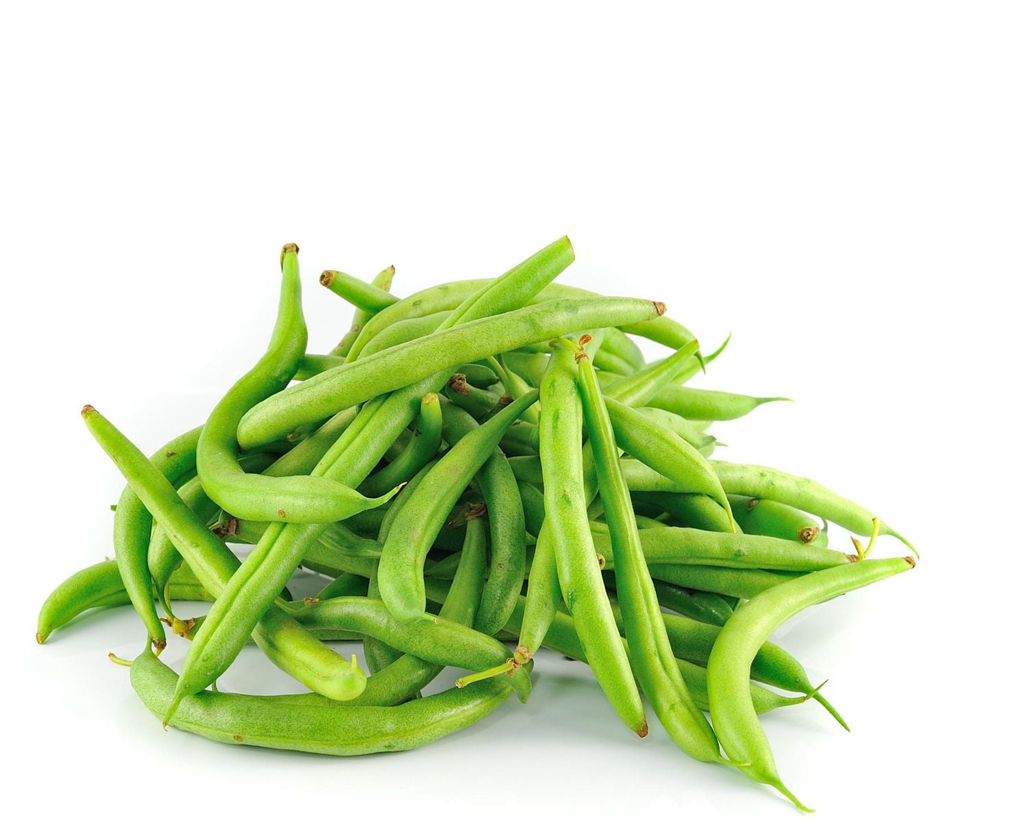 Haricots verts biologiques 1 livre