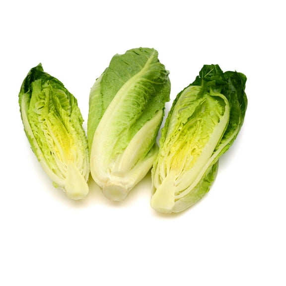 Romaine Hearts, Organic, Pack of 3