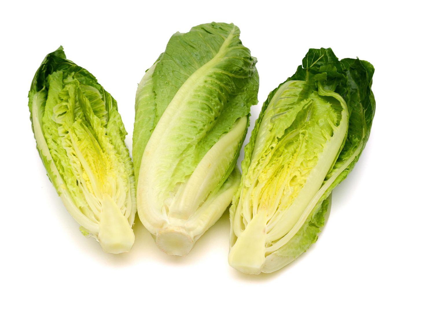 Romaine Hearts, Organic, Pack of 3 — three romaine hearts with pale green inner leaves and darker outer leaves and visible cores, presented as a three-pack; suitable for Caesar salad or grilling whole hearts.