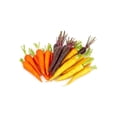 thumbnail image 1 of Carrots, Rainbow Organic, 2 lb, 1 of 8