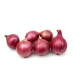 thumbnail image 1 of Onion, Organic Red, 1 of 1