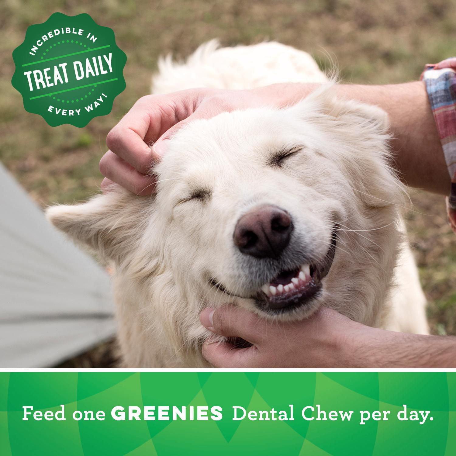 homemade greenies dog treats