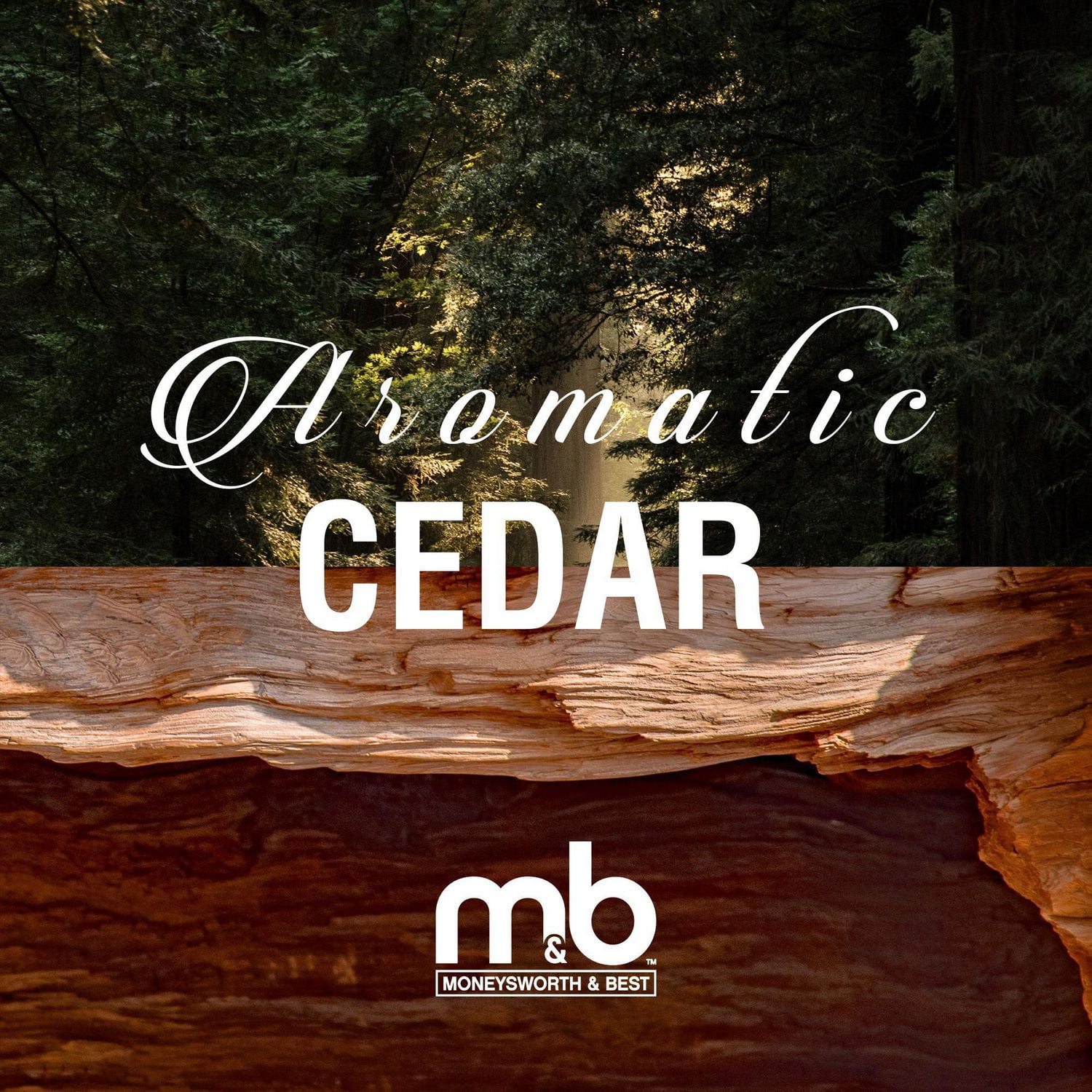 Moneysworth & Best Embauchoir en Cèdre 2PK