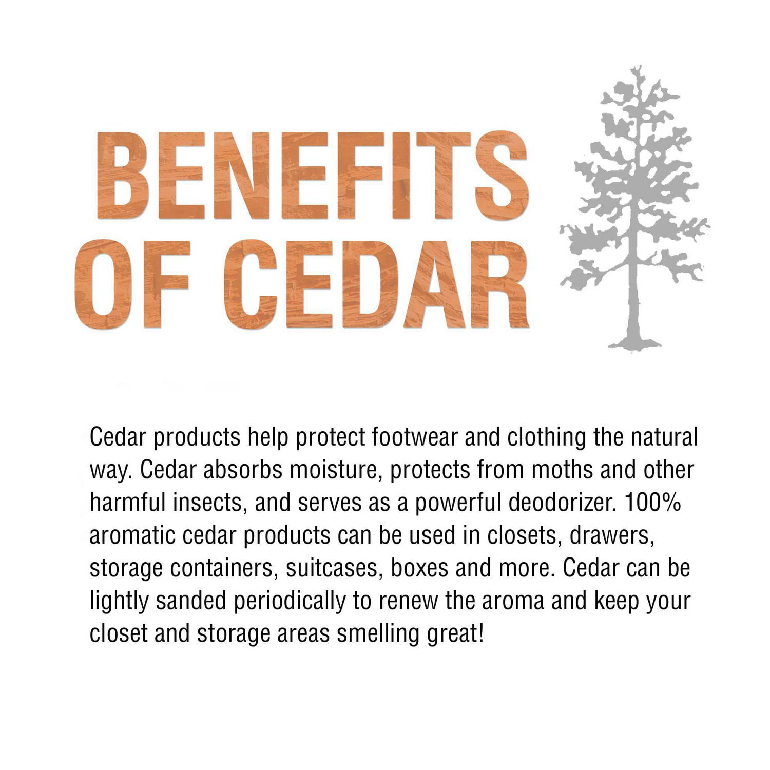 Moneysworth & Best Embauchoir en Cèdre 2PK