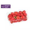 thumbnail image 1 of Fraises biologiques 1 lb, 1 of 6