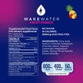thumbnail image 4 of WakeWater Electrolytes Rapid Rehydration - Fruit Punch, 4 of 5