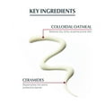 thumbnail image 3 of EUCERIN Eczema Body Wash for Eczema-Prone Skin, 3 of 8