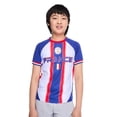 thumbnail image 4 of FIFA Boys' France Soccer Jersey, 4 of 6