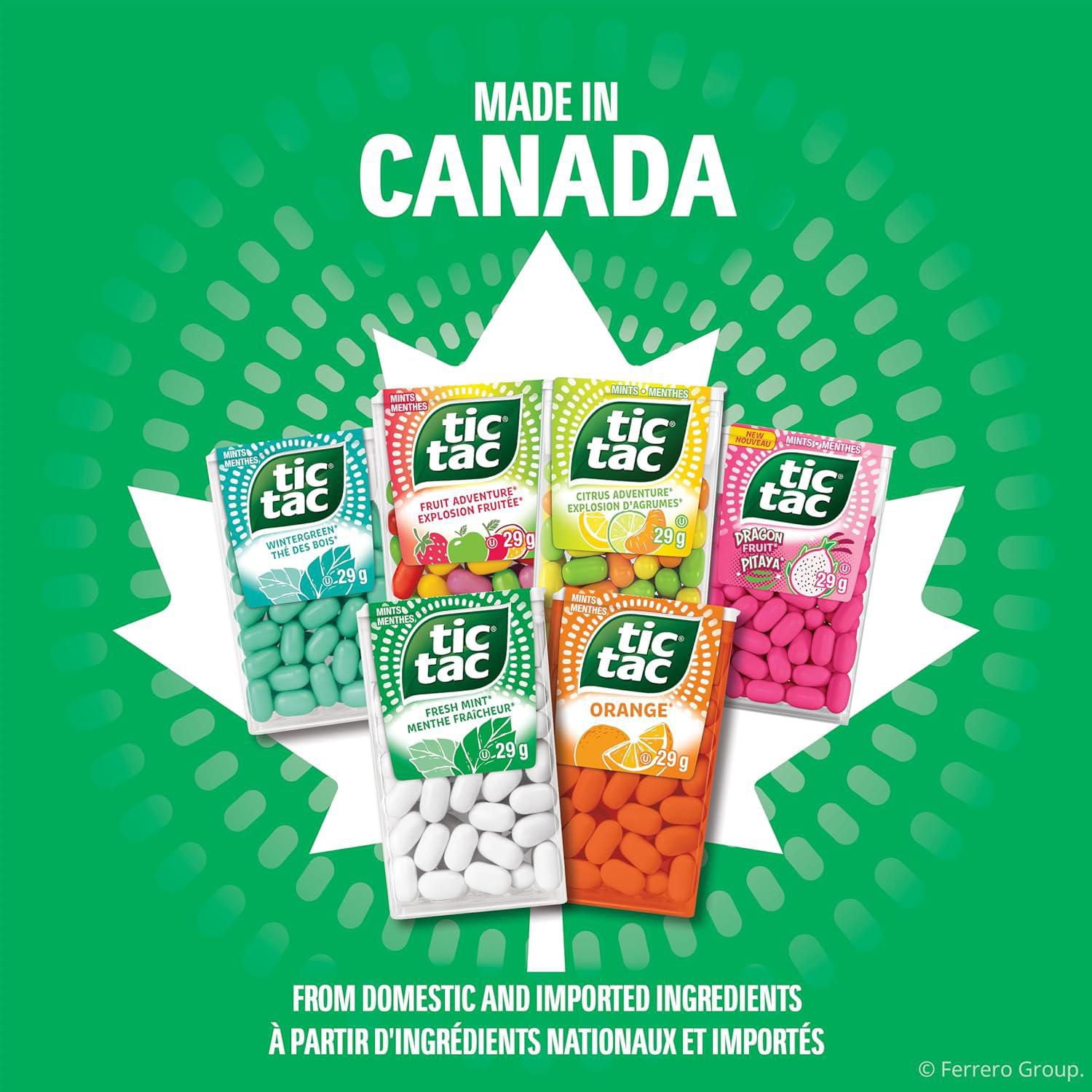 TIC TAC Mints, Fruit Adventure, Mint Candy, 60 Pills, 29 g