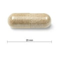 thumbnail image 2 of Jamieson Relax and Sleep Valerian Capsules, 200 mg, 60 Count, 2 of 4