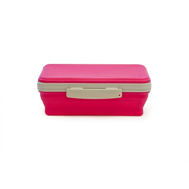 It's Academic Flexi Storage Box, Pink/Gray Walmart.ca