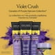 Shampooing mauve Violet Crush de John Frieda 250 mL – image 6 sur 7