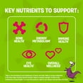 thumbnail image 4 of FLINTSTONES Complete Chewable Multivitamin for Kids, Aspartame-Free, with Vitamin A, B12, C, D, E, & Calcium, 4 of 7