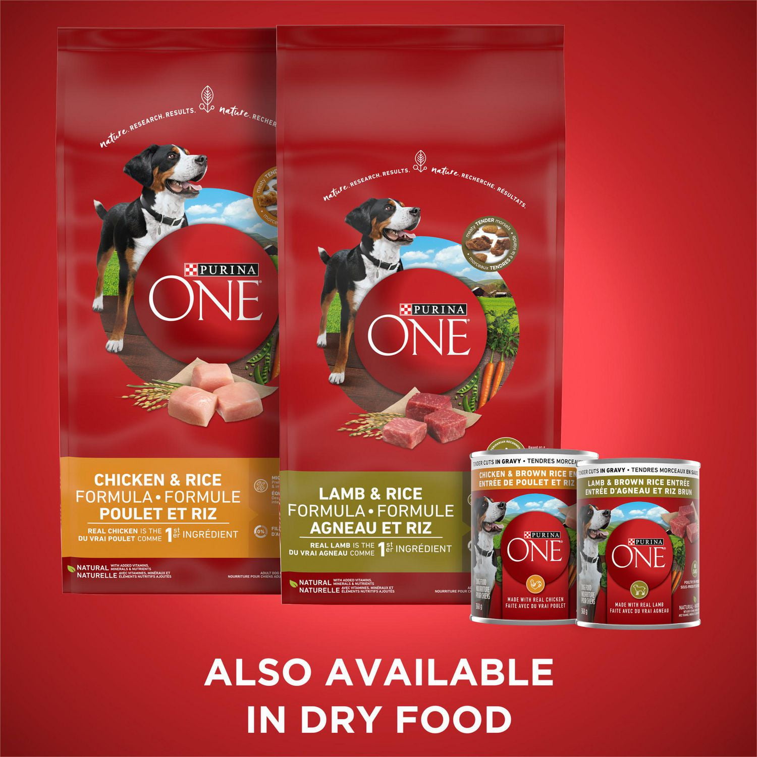 Purina ONE SmartBlend Tender Cuts in Gravy Variety Pack Wet Dog Food 12 x 368 g 12 x 368 g Walmart