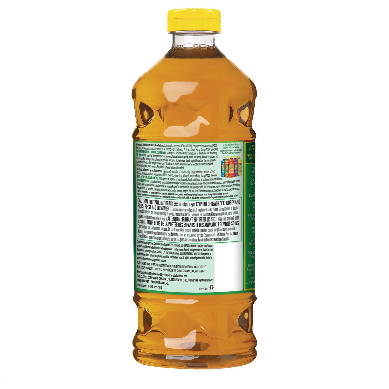 Dog drank pine sol hot sale water