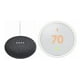 Google Nest Thermostat E et Google Mini Charbon – image 1 sur 1