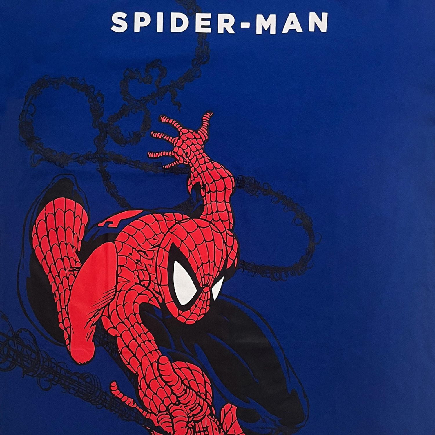 Marvel T-shirt à manches courtes Swings in Spiderman pour homme