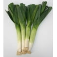 thumbnail image 1 of LEEK CHINESE, SOLD IN BULK, 1 of 1