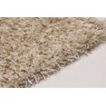 thumbnail image 2 of Tapis Soho Beige Polypropylène Shag 3'11" x 5'7", 2 of 5