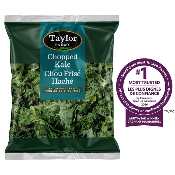 Taylor Farms Taylor Farms Chopped Kale Salad Kit, 454 g