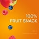 Collations Fruit to Go SunRype 100 % fruits Pomme et baies sauvages – image 2 sur 5