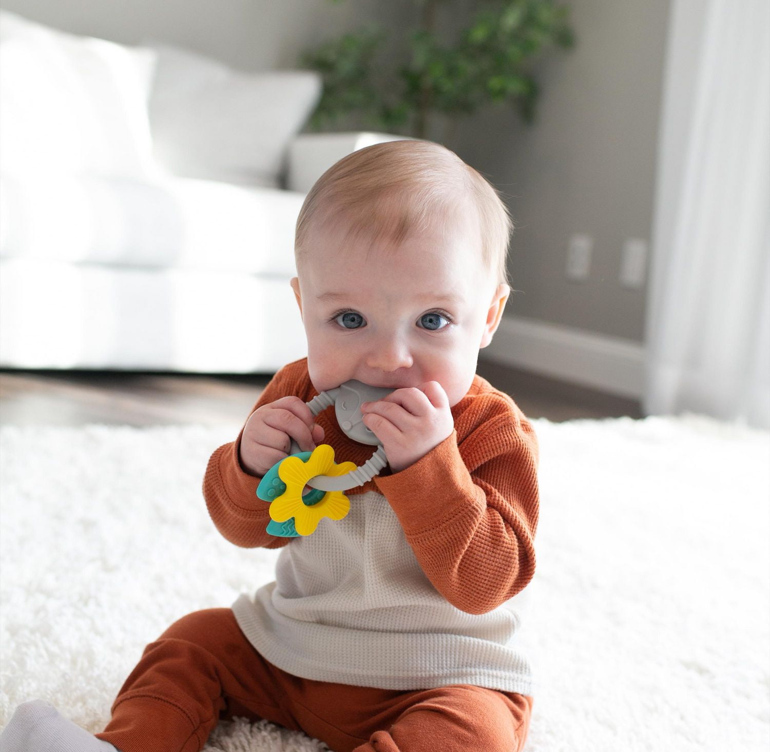 Dr. Brown’s® Learning Loop Silicone Ring Teether, Fox, 3 months+
