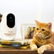 Caméra interactive Wi-Fi pour animaux de compagnie et distributeur de friandises Caméra Wifi avec distributeur de friandises – image 2 sur 9