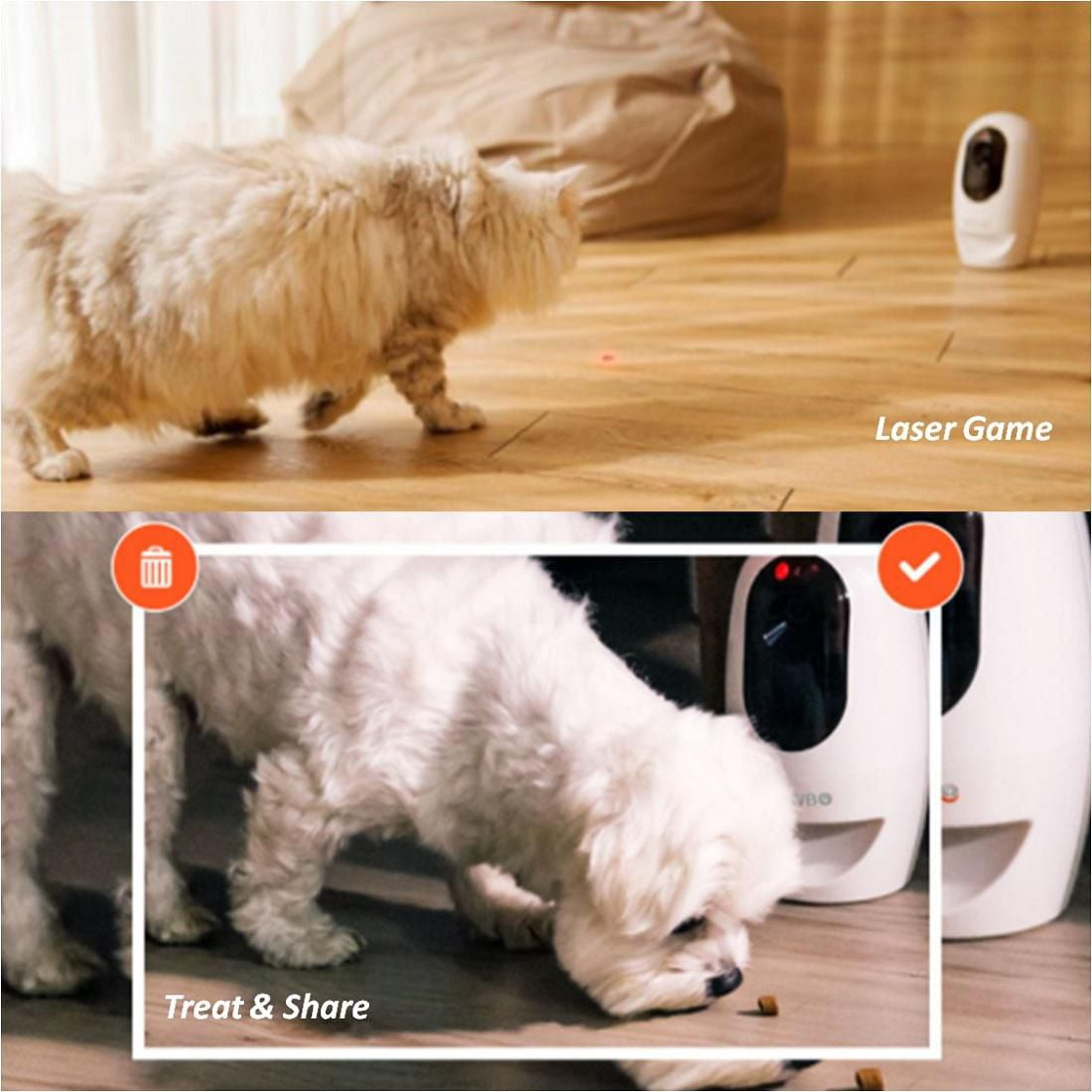 Pawbo+ Wi-Fi Interactive Pet Camera and Treat Dispenser, Wifi Dog and Cat Camera with Treat Dispenser