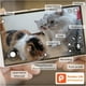 Caméra interactive Wi-Fi pour animaux de compagnie et distributeur de friandises Caméra Wifi avec distributeur de friandises – image 5 sur 9