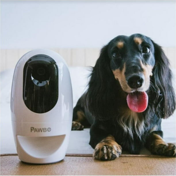 Interactive Pet Camera & Treat Dispenser