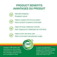 thumbnail image 3 of Jamieson Vitamin B12 Sublingual Tablets, 1000 mcg, Fast-Dissolving, Mega Size, 200 ct, 3 of 8