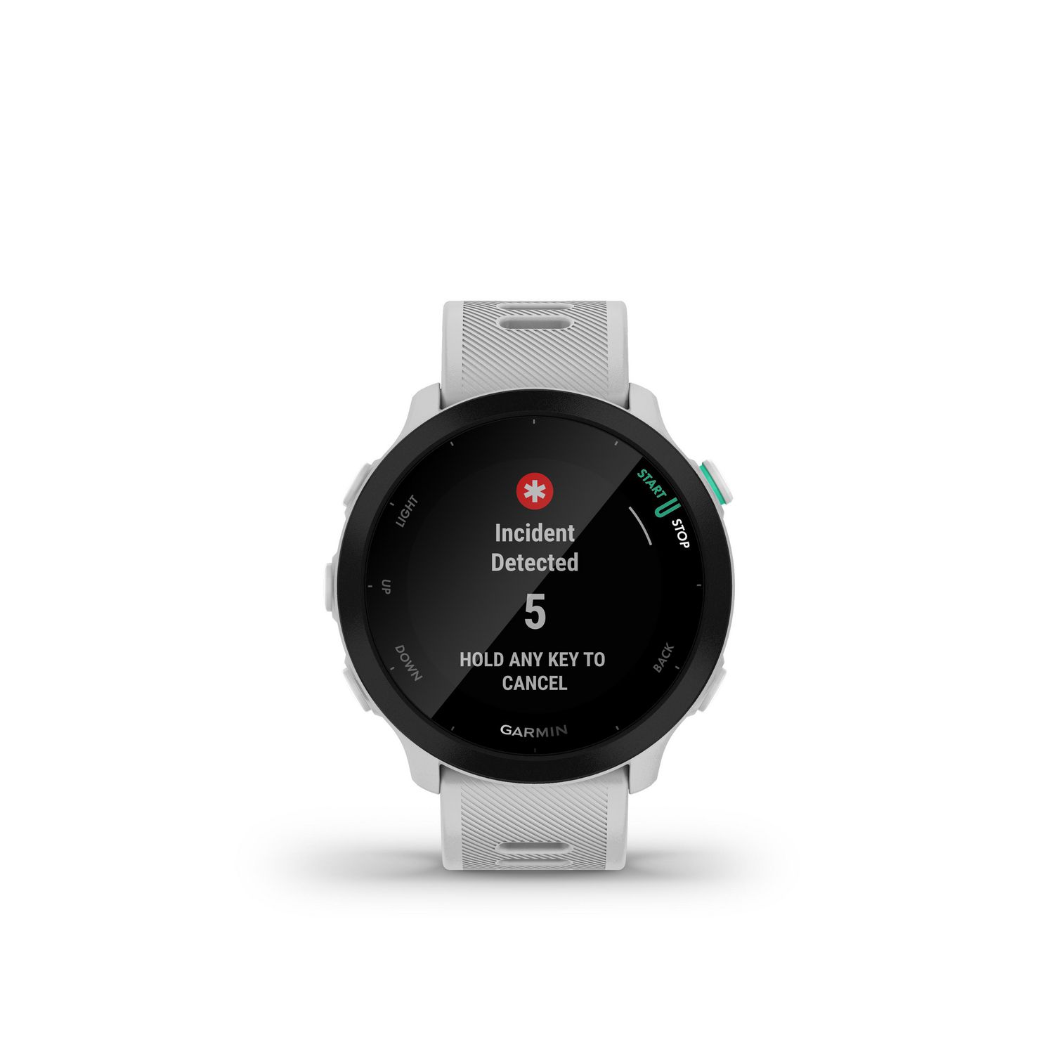 Garmin Forerunner 55 GPS Running Smartwatch and Fitness Tracking