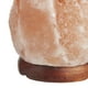 Lampe en sel blanc de l'Himalaya extrait à la main avec base en bois, forme de rocher, interrupteur à bascule marche/arrêt, ampoule incluse – image 2 sur 8