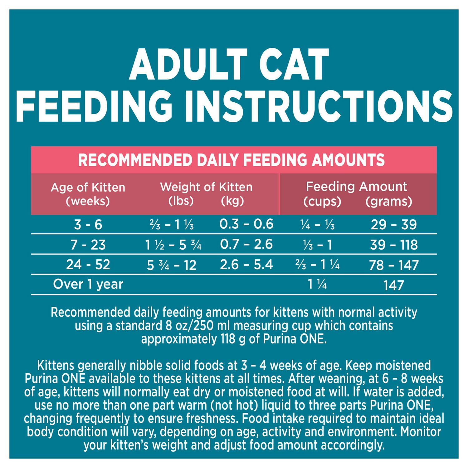 Kitten food clearance chart