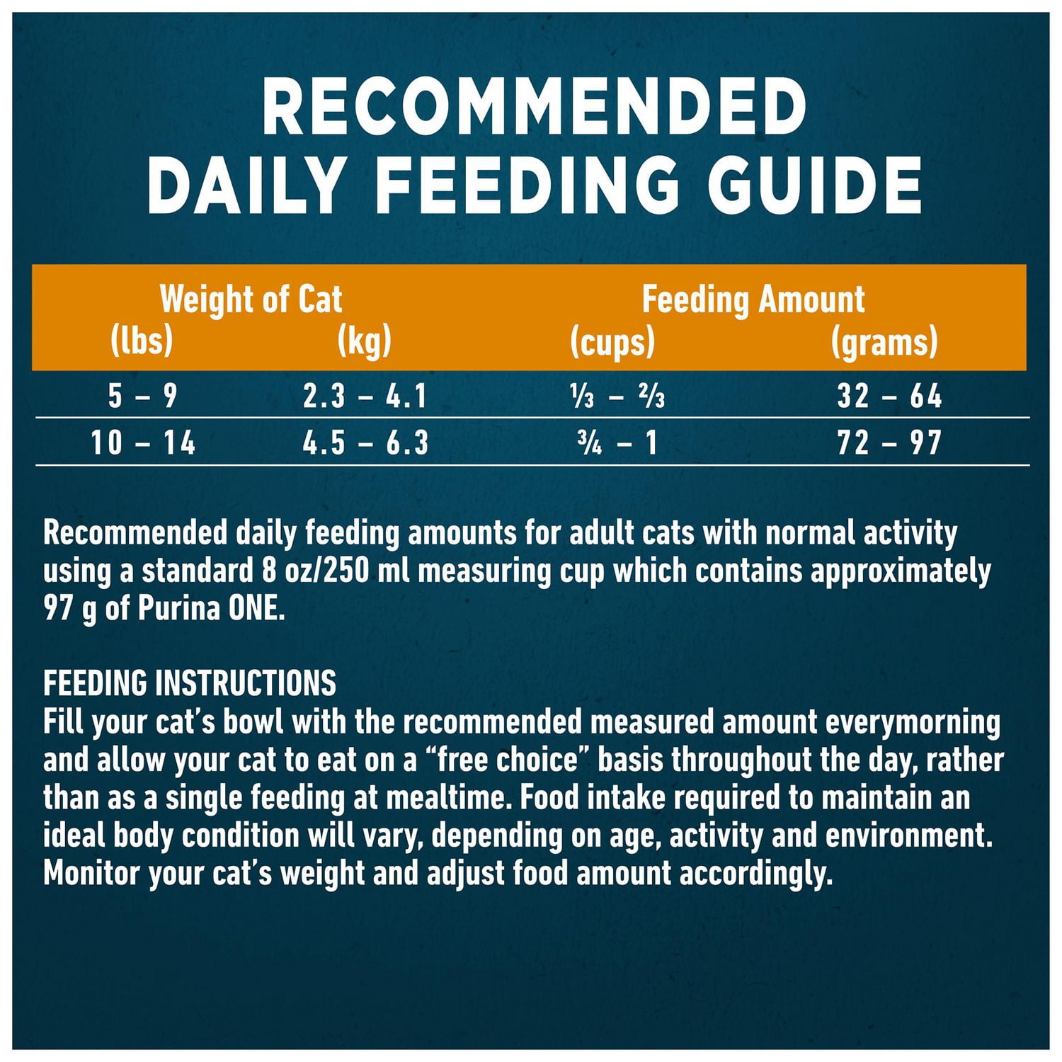 Kitten hotsell food recommendations