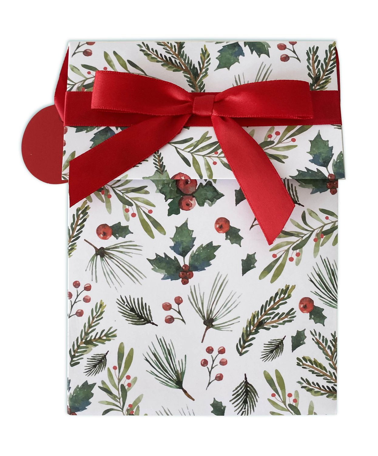 Evergreen Gift Bag Reveal Gift Card Holder Walmart Canada