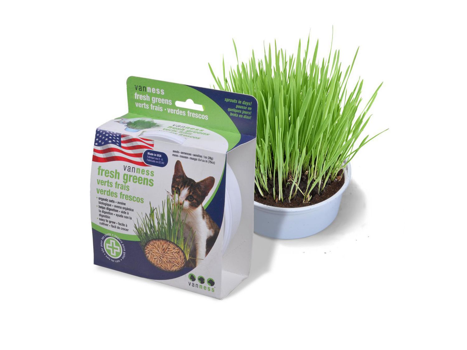 Jardinière d'herbe à chat, kit d'herbe à chat, kit de culture d