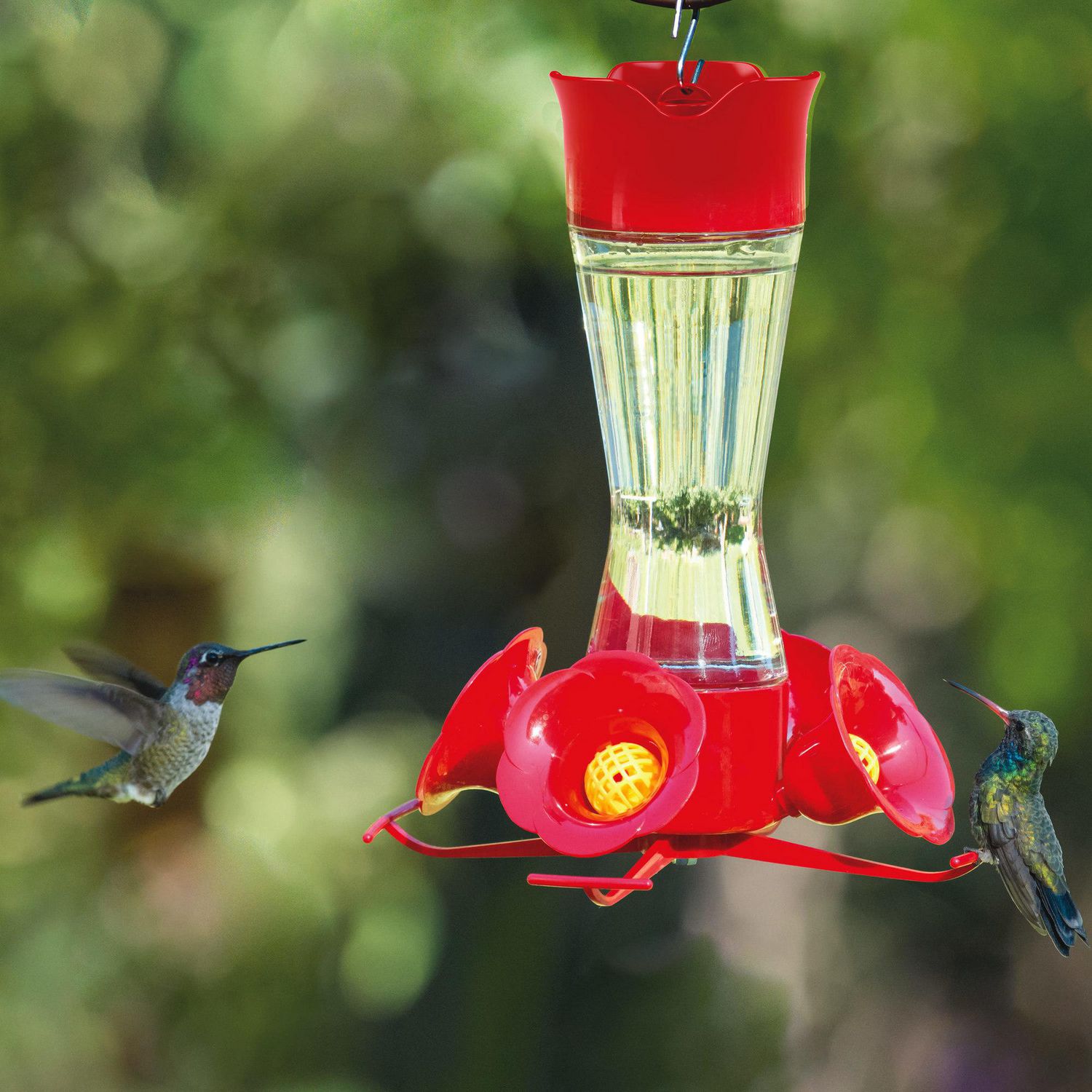 Mangeoire à colibris avec bol en verre rouge, mangeoire à colibris  extérieure, attirer les oiseaux pour l'extérieur, jardin, arrière-cour,  pont - AliExpress