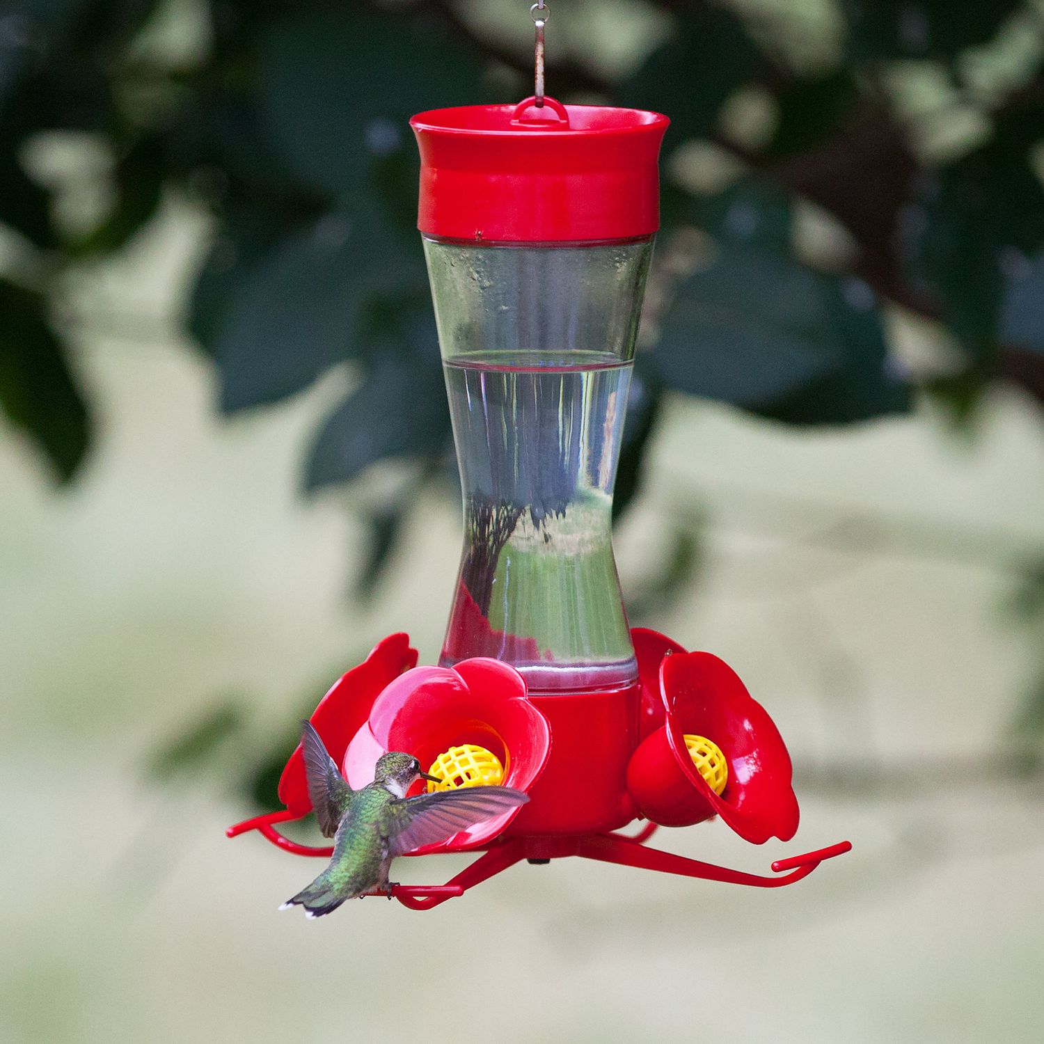 Mangeoire à colibris avec bol en verre rouge, mangeoire à colibris  extérieure, attirer les oiseaux pour l'extérieur, jardin, arrière-cour,  pont - AliExpress