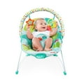 thumbnail image 4 of Bright Starts Raindrop Rainforest Bouncer, 4 of 5